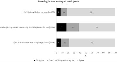 Everyday Life Meaningfulness for the Community-Dwelling Oldest Old During the COVID-19 Pandemic